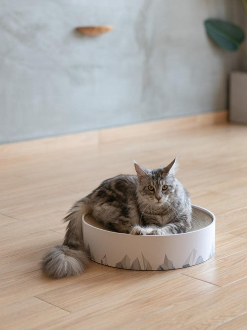 LifePet Cat Scratcher Premium Corrugated Design - Perfect for Healthy Claw Care - White