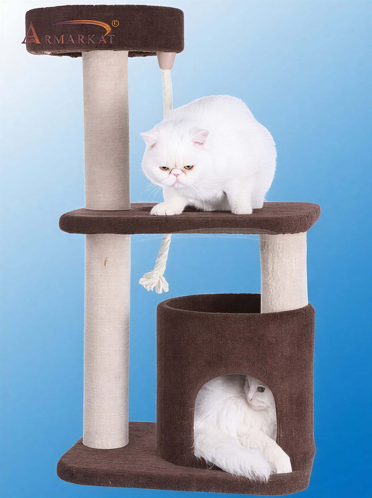 LifePet Cat Tree Condo 37-Inch Real Wood Carpeted 3-Tier Tower - Ideal for Play and Relaxation