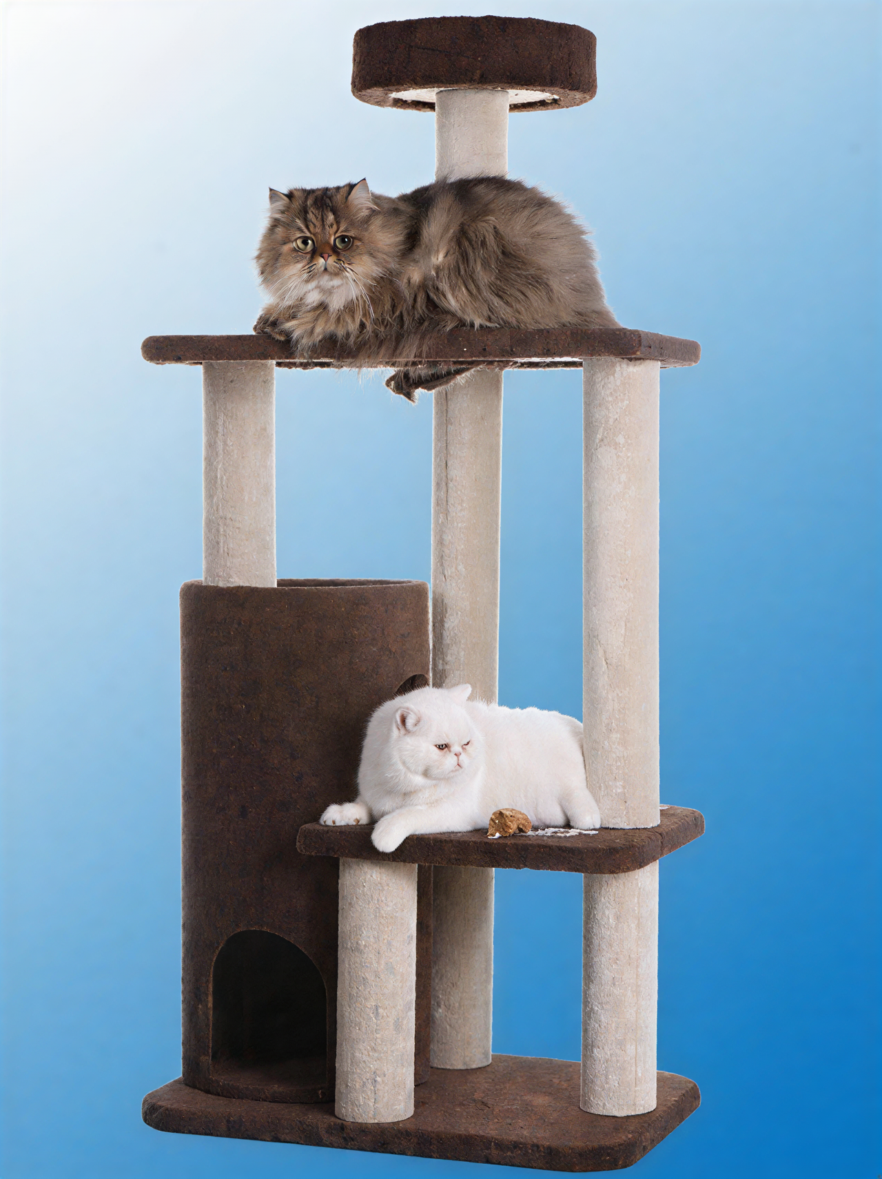 LifePet Cat Tree Condo 56-Inch Carpeted Real Wood - Durable Multi-Level Tower for Cats